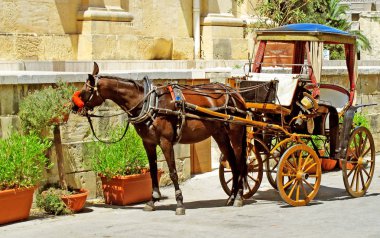 Valetta, Malta 'da at ve at arabası