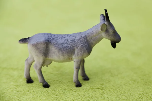 Juguete de plástico animal, una cabra sobre fondo verde —  Fotos de Stock