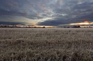 Roback, Umea 'da, Ekim 2019' da gün doğumunda donmakta olan tarlalar