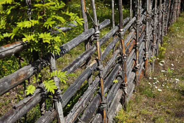 Ein altmodischer Zaun von vasterbotten — Stockfoto