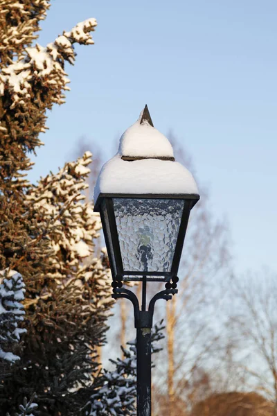looks like the lantern in the Narnia story covered with snow