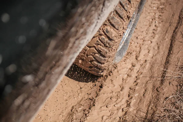 Car tire in the mud
