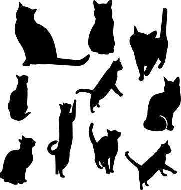 Siyah kedi siluetleri.