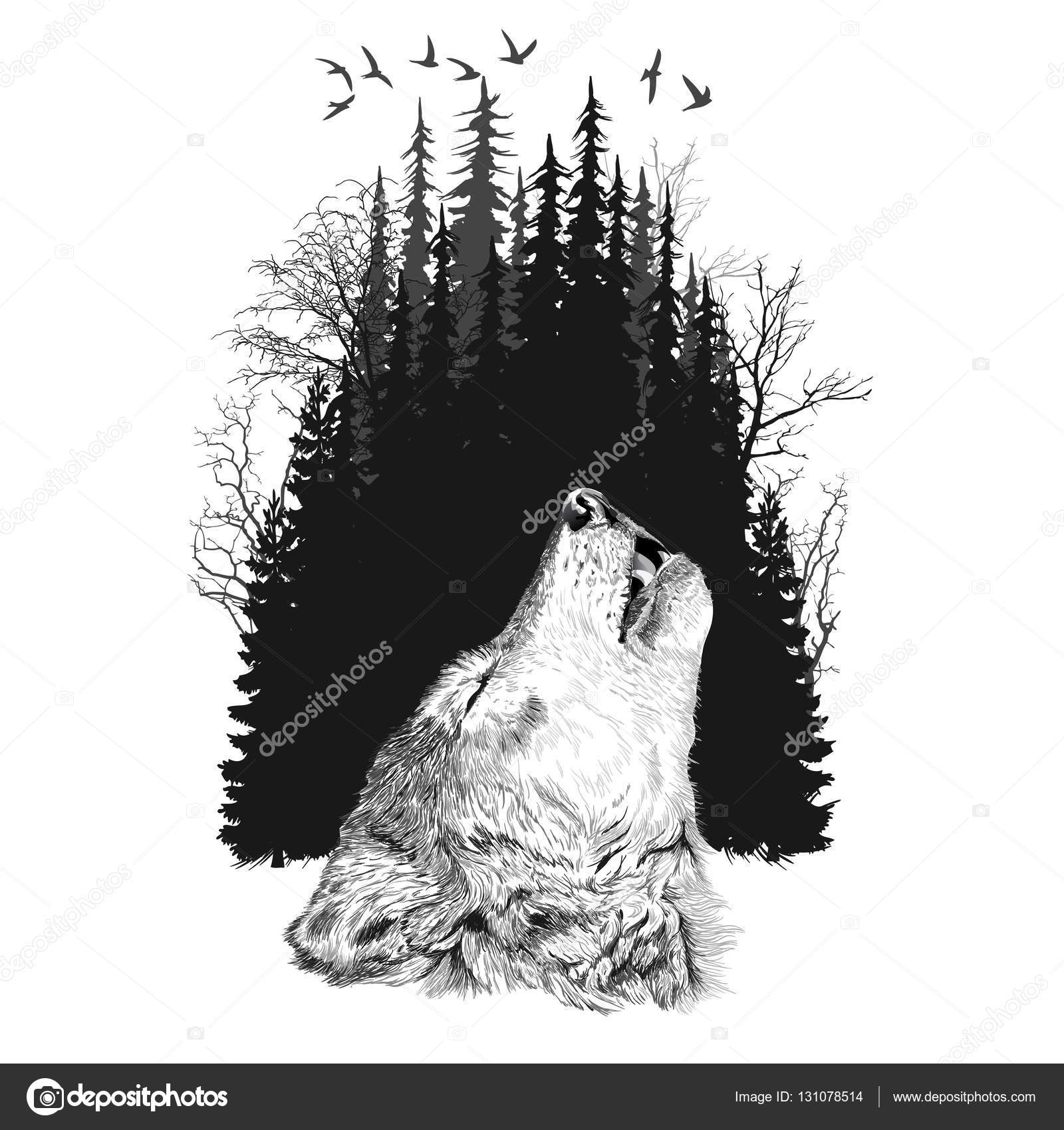 Download Silueta de lobo en el fondo del bosque — Vector de stock ...