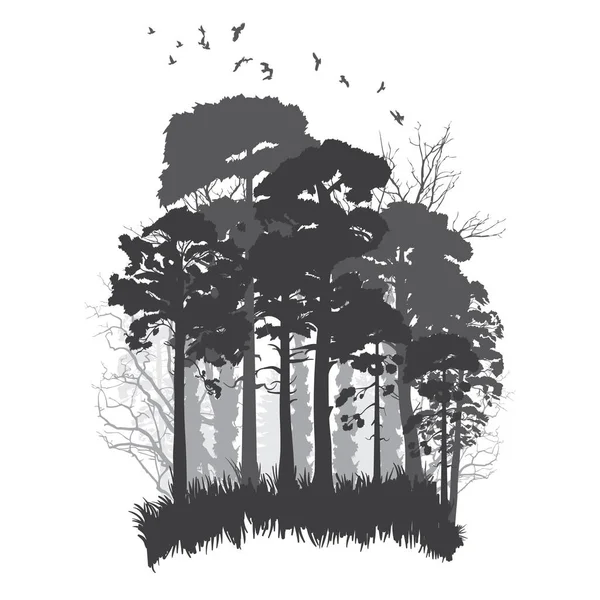 Bosque silvestre de coníferas — Vector de stock