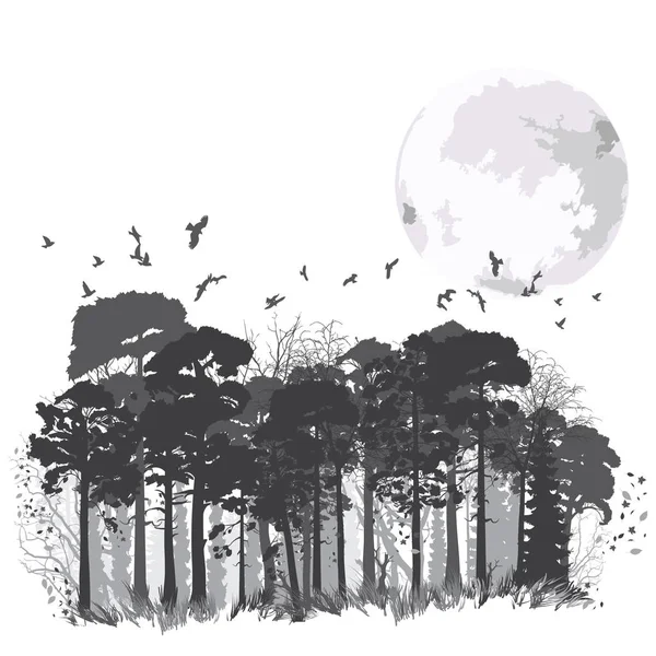 Wild coniferous forest Stock Illustration