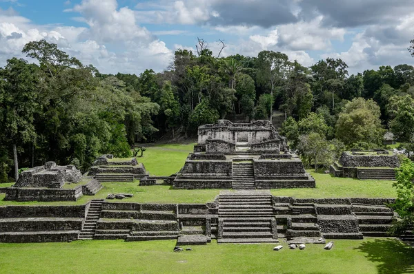Ruinas Mayas Caracol Grupo Astronomía —  Fotos de Stock