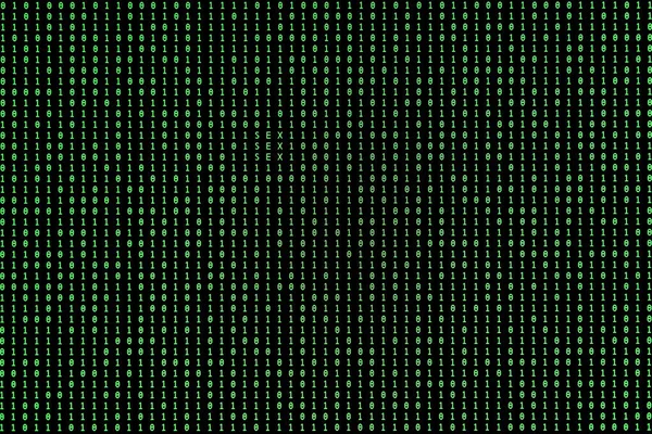 Binary Computer Code with Secret Message embedded: \
