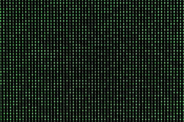 Binary Computer Code with Secret Message embedded: \