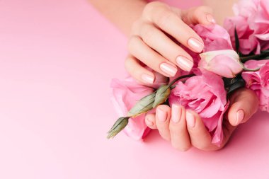 Güzel Kadın Elleri ve taze bir Eustoma. Spa ve Manikür konsepti. Pembe manikürlü kadın elleri. Yumuşak cilt konsepti. Güzel tırnaklar. Bej arkaplanda