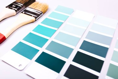 Renk örneklerinin üzerine iki boya fırçası.