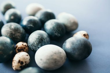 Mavi arka planda bıldırcın yumurtaları ve tüyleri olan güzel bir grup ombre mavi paskalya yumurtası. Paskalya konsepti. Sınır yumurtaları. Metin için alanı kopyala.