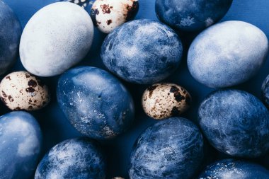 Mavi arka planda bıldırcın yumurtaları ve tüyleri olan güzel bir grup ombre mavi paskalya yumurtası. Paskalya konsepti. Sınır yumurtaları. Metin için alanı kopyala.