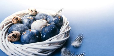 Mavi arka plandaki yuvalarında bir grup açık mavi yumurta. Mutlu Paskalya dekorasyonları