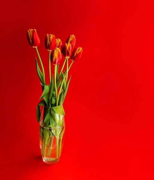 Buquê de tulipas vermelhas em um vaso . — Fotografia de Stock