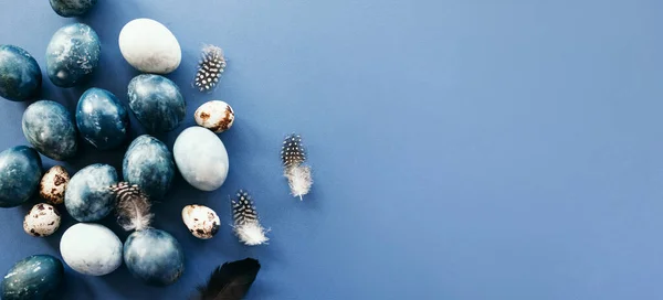 Belo grupo ombre azul ovos de Páscoa com ovos de codorna e penas em um fundo azul. Conceito de Páscoa. Ovos de fronteira. Espaço de cópia para texto . — Fotografia de Stock