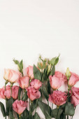Картина, постер, плакат, фотообои "beauty pink eustoma flower isolated on white background.", артикул 350943630