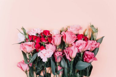 Pembe arka planda izole edilmiş güzel pembe Eustoma çiçeği.