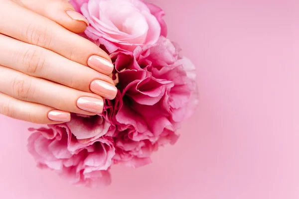 Baner of Beautiful Woman Hands met frisse eustoma. Spa en Manicure concept. Vrouwelijke handen met roze manicure. Zachte huid huidverzorging concept. Schoonheidsnagels. Over beige achtergrond — Stockfoto