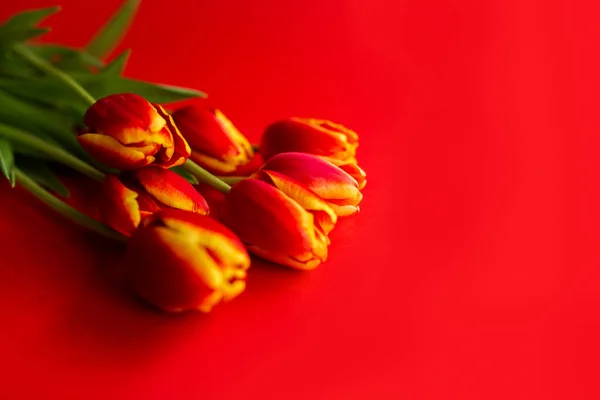 Banner com um buquê de tulipas vermelhas no fundo vermelho. Deitado plano com flores, vista superior com copyspace. Dia Internacional da Mulher, conceito do Dia das Mães. Valentines, fundo da primavera. floral mock up . — Fotografia de Stock