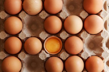 Kağıt tepside yumurtalı tavuk yumurtası. Yakın plan. Metin için boşluk.