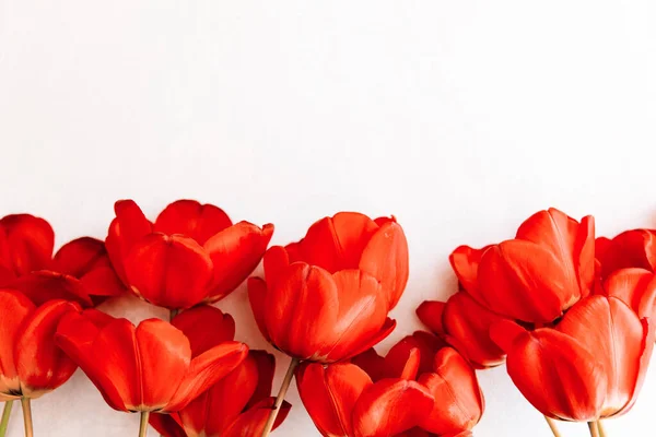 Baner do bouquet de tulipas rosa bonitas delicadas em um fot claro, conceito do Dia das Mulheres, presente do Dia dos Namorados, parabéns no Dia das Mães — Fotografia de Stock