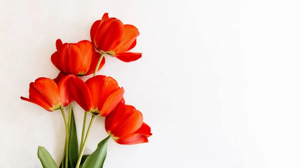 Buquê de delicadas belas tulipas rosa em um fot claro, conceito Womens Day, presente do Dia dos Namorados, parabéns no Dia das Mães. — Fotografia de Stock