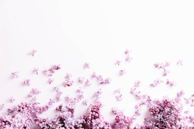 Beyaz arkaplanda yazı için yeri olan leylak çiçekleri çerçevesi. Düz yatış, üst görünüm