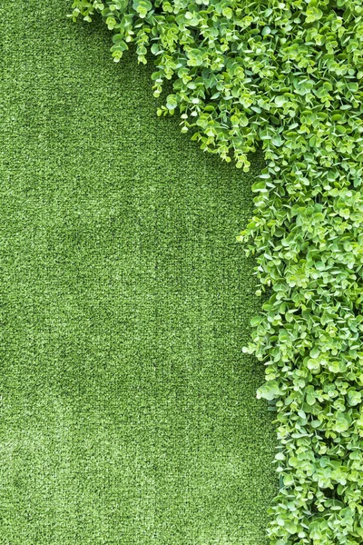 Césped artificial y hojas de arbusto pequeño para el fondo — Foto de Stock