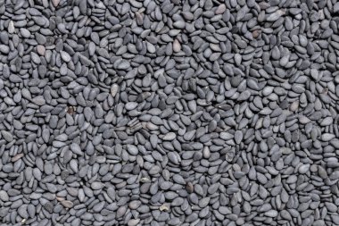 siyah susam tohumu arka plan