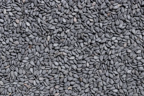 siyah susam tohumu arka plan