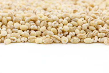 soyulmuş arpa tohumu beyaz arka plan üzerinde kopya alanı ile kurutulmuş