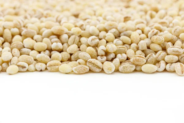 soyulmuş arpa tohumu beyaz arka plan üzerinde kopya alanı ile kurutulmuş