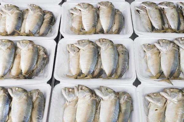 Roher Makrelenfisch auf Schaumstofftablett am Markt — Stockfoto