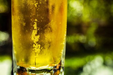 Yeşil arka planda cam içinde bira kabarcıklarının yakın plan görüntüsü