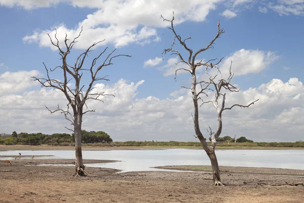 Afrikanische Landschaft mit Wasser — Stockfoto