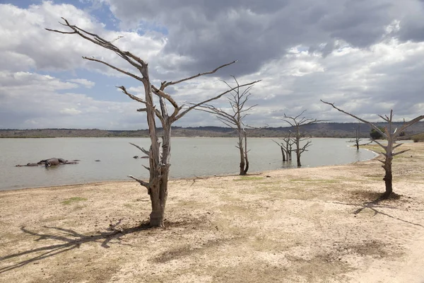 Afrikanische Landschaft mit Wasser — Stockfoto