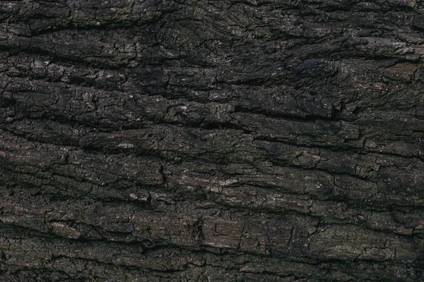 Dark wooden texture or background. Close-up.