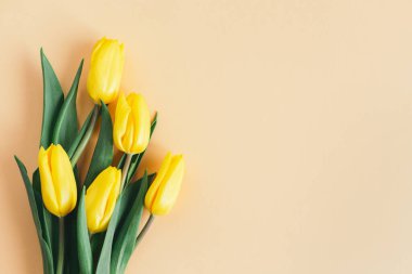 Şeftali renginde yumuşak sarı laleler. Anneler günü için tebrik kartı. Düz yatıyordu. Metin için yer. 