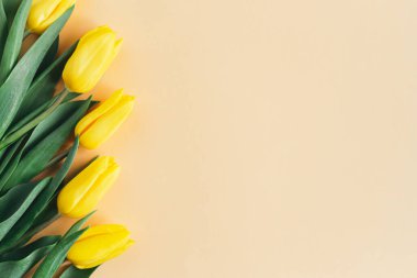 Şeftali renginde yumuşak sarı laleler. Anneler günü için tebrik kartı. Düz yatıyordu. Metin için yer. 