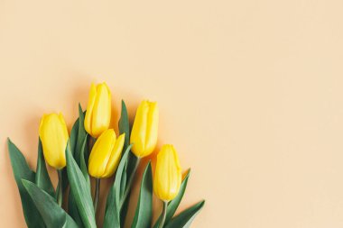 Şeftali renginde yumuşak sarı laleler. Anneler günü için tebrik kartı. Düz yatıyordu. Metin için yer. 