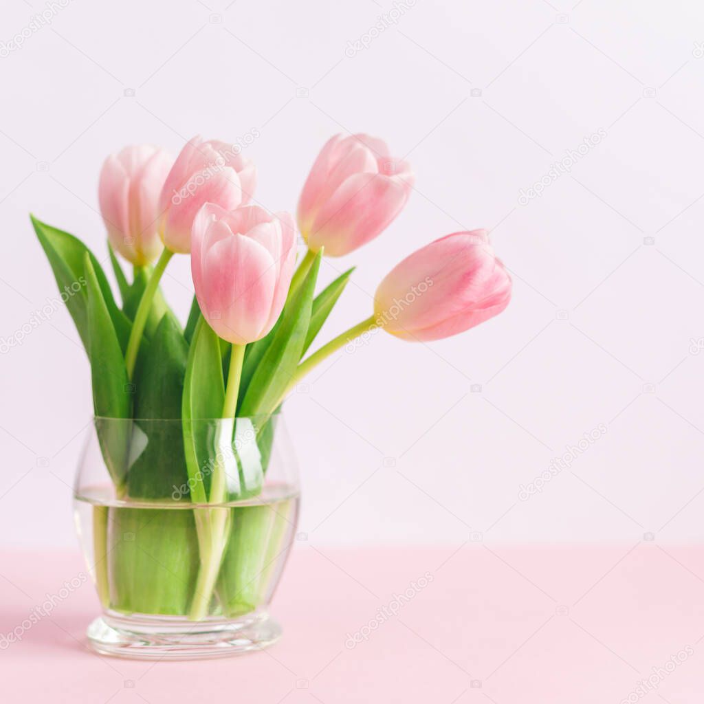 Tender pink tulips in a vase. Greeting card for Mother's day.  Place for text. 