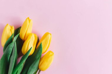 Pastel pembe arka planda yumuşak sarı laleler. Anneler günü için tebrik kartı. Düz yatıyordu. Metin için yer. 