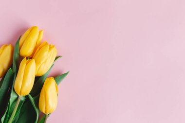 Pastel pembe arka planda yumuşak sarı laleler. Anneler günü için tebrik kartı. Düz yatıyordu. Metin için yer. 