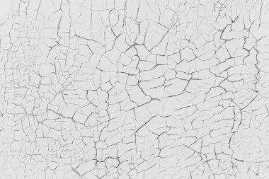 Craquelure içerikli gri kırsal doku. Tek renkli olsun. Siyah ve beyaz.