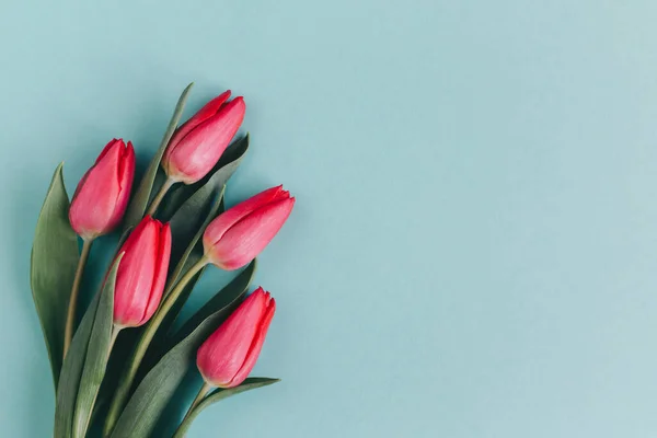 Ніжні Червоно Рожеві Тюльпани Пастельному Бірюзовому Фоні Вітальна Листівка День — стокове фото
