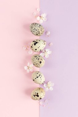 Yumurtalı ve bahar çiçekli Paskalya arkaplanı. Pastel renkler. Minimum konsept. Düz yatıyordu