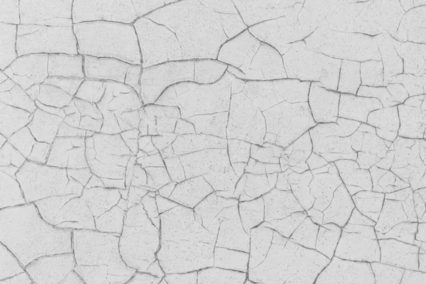 Fondo Textura Rústica Gris Con Craquelure Monocromo Blanco Negro — Foto de Stock