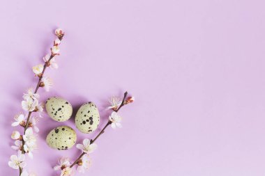 Yumurtalı ve bahar çiçekli Paskalya arkaplanı. Pastel renkler. Düz yatıyordu. Metin için yer.
