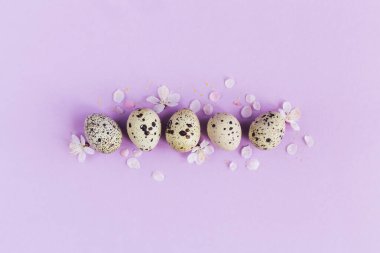 Yumurtalı ve bahar çiçekli Paskalya arkaplanı. Pastel renkler. Düz yatıyordu. Metin için yer.